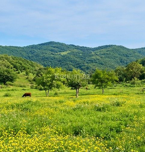 1 050 sot - Şamaxı - satılır — foto 4