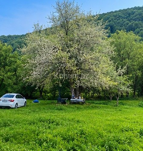 1 050 sot - Şamaxı - satılır — foto 6