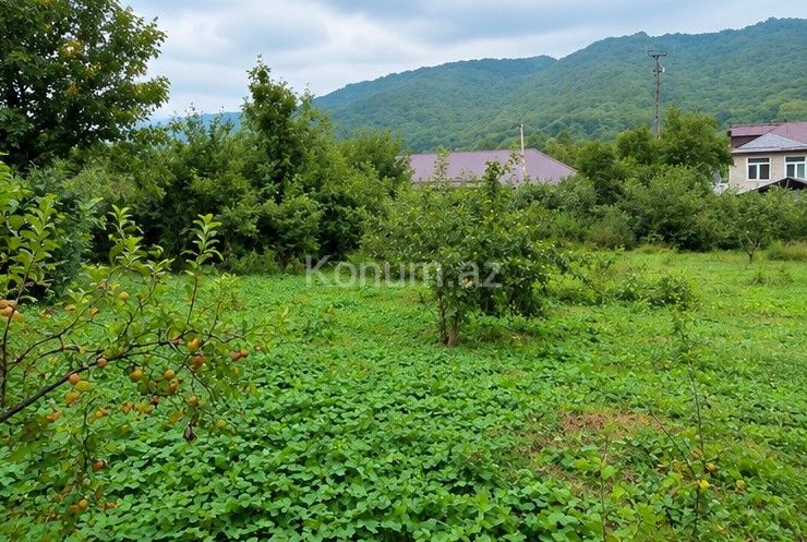 11 sot - Qusar - satılır — foto 3