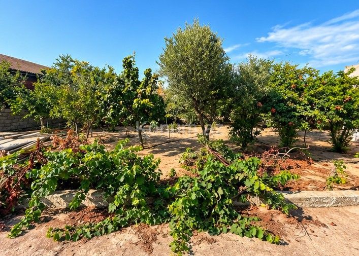 7 sot - Bakı, Xəzər - satılır — foto 4