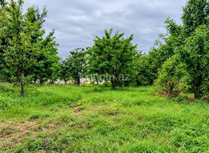 3 sot - Quba - satılır — foto 3