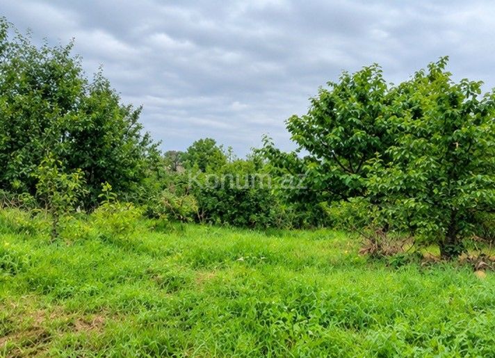 3 sot - Quba - satılır — foto 2