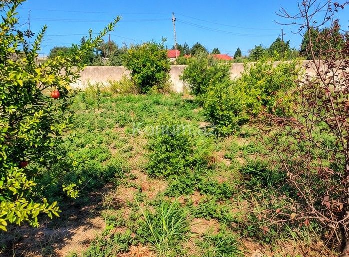 10 sot - Bakı, Abşeron - satılır — foto 3