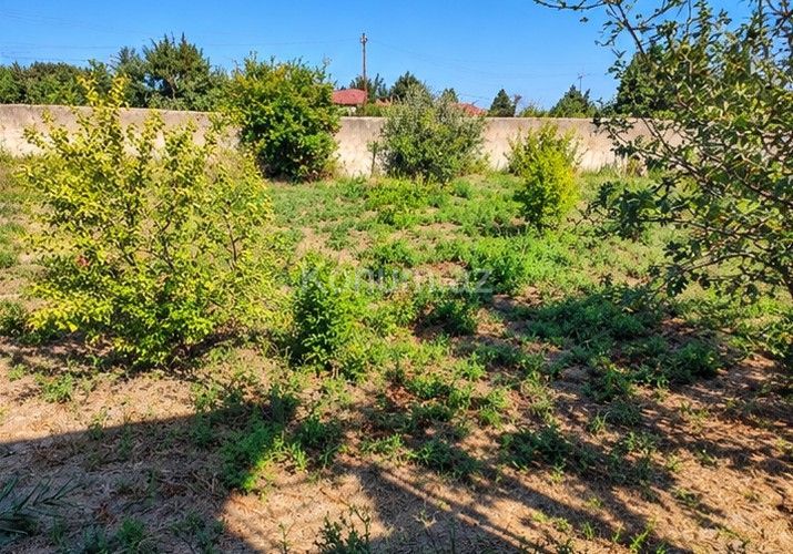 10 sot - Bakı, Abşeron - satılır — foto 4