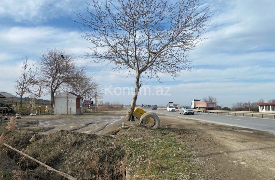 150 sot - Şabran - satılır — foto 3