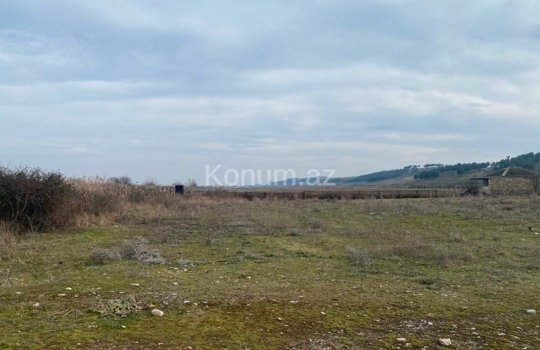 150 sot - Şabran - satılır — foto 2