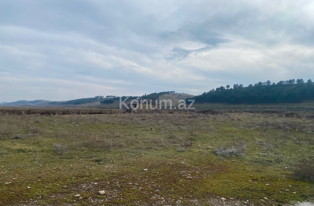 150 sot - Şabran - satılır — foto 4