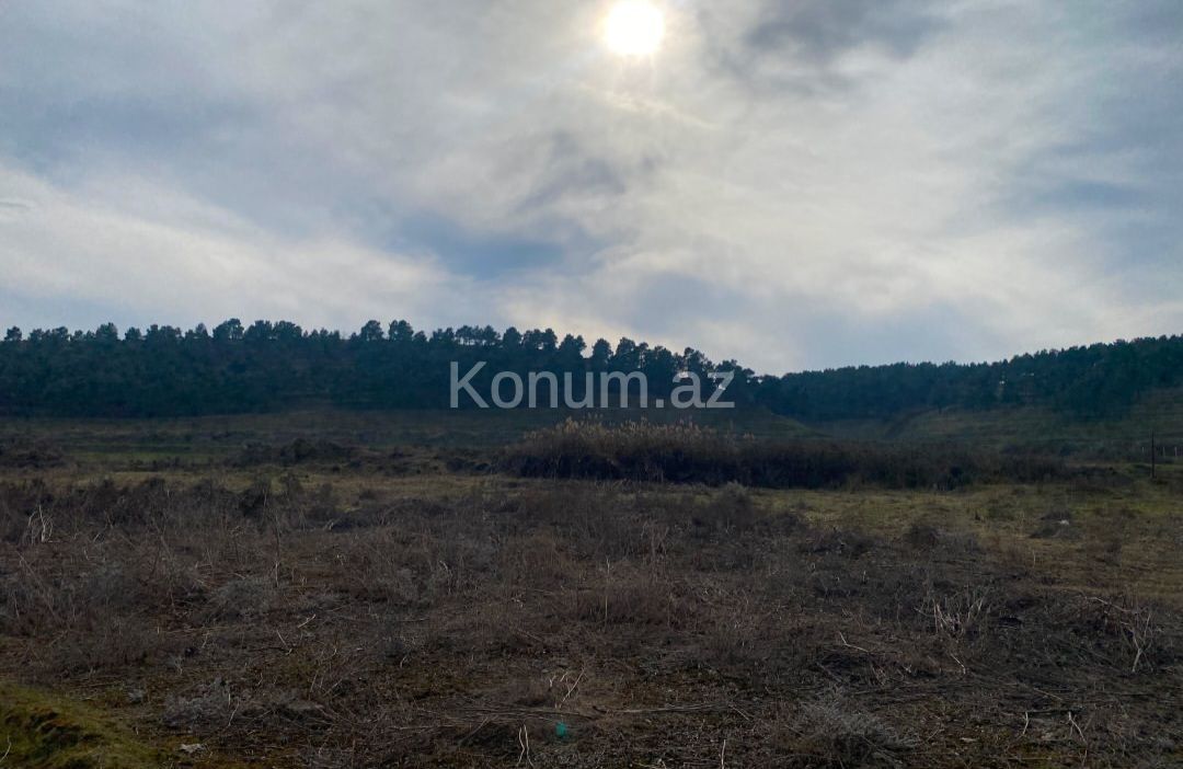 150 sot - Şabran - satılır — foto 7