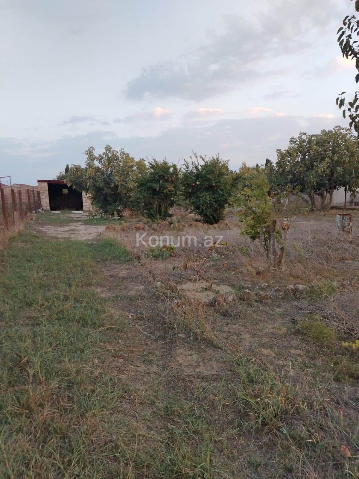 30 sot - Bakı, Sabunçu - satılır — foto 2