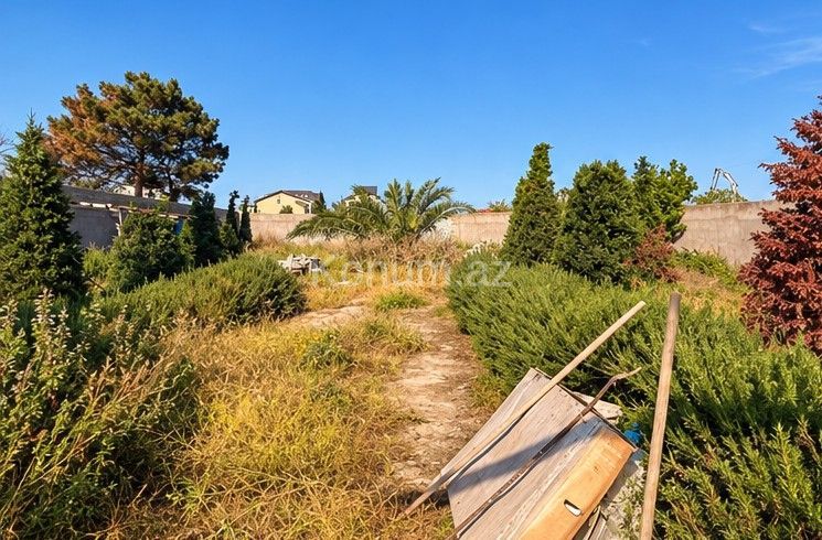 12 sot - Bakı, Xəzər - satılır — foto 3