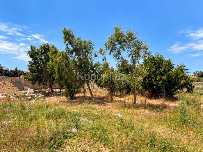 8,5 sot - Bakı, Xəzər - satılır — foto 2