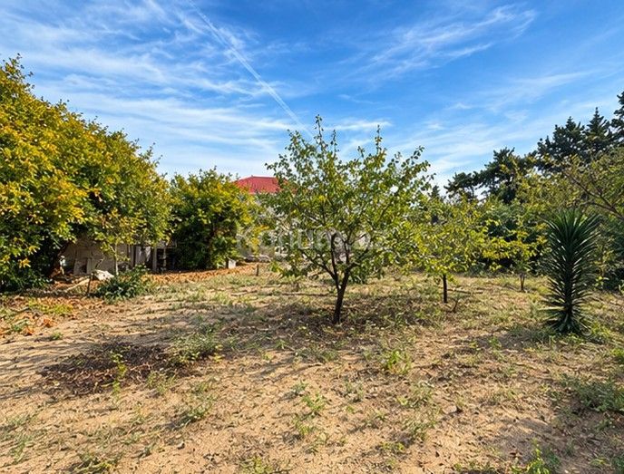 6 sot - Bakı, Xəzər - satılır — foto 3
