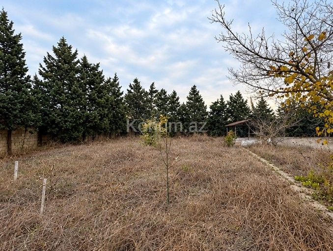 24 sot - Bakı, Xəzər - satılır — foto 3