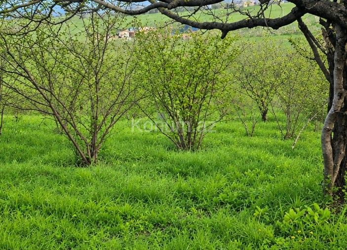 100 sot - Quba - satılır — foto 3