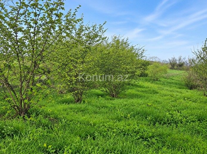 100 sot - Quba - satılır — foto 2