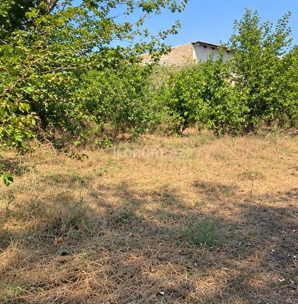 3 sot - Bakı, Abşeron - satılır — foto 3