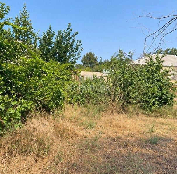 3 sot - Bakı, Abşeron - satılır — foto 2