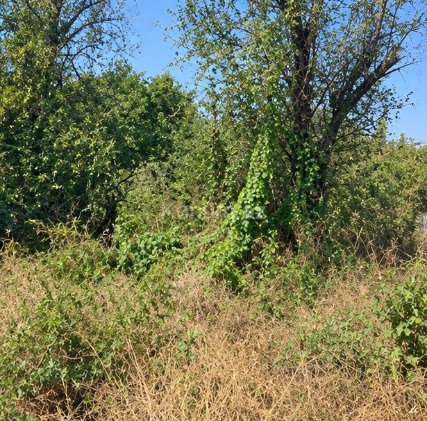 3 sot - Bakı, Abşeron - satılır — foto 4