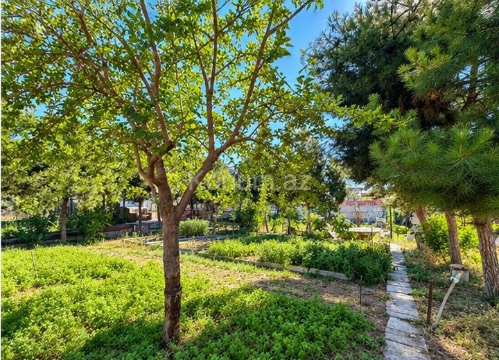 7 sot - Bakı, Xəzər - satılır — foto 2