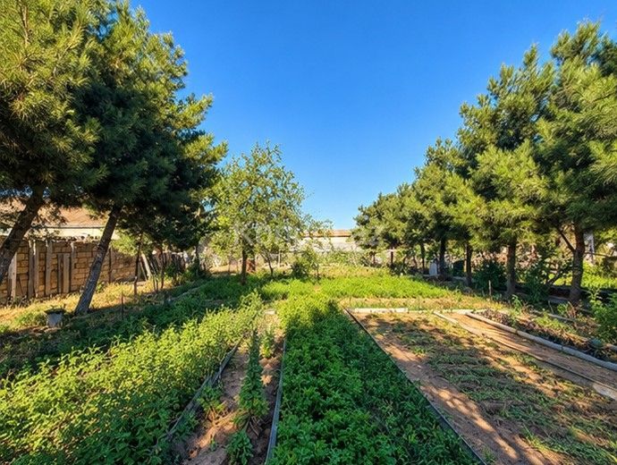 7 sot - Bakı, Xəzər - satılır — foto 3