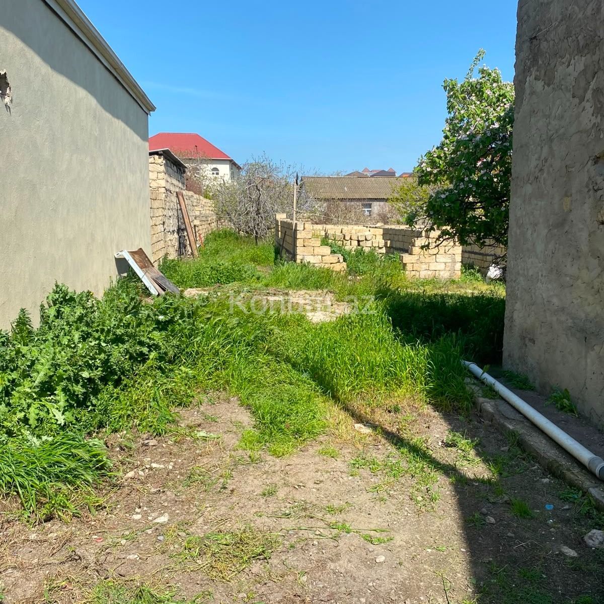 5 sot - Bakı, Abşeron - satılır — foto 3