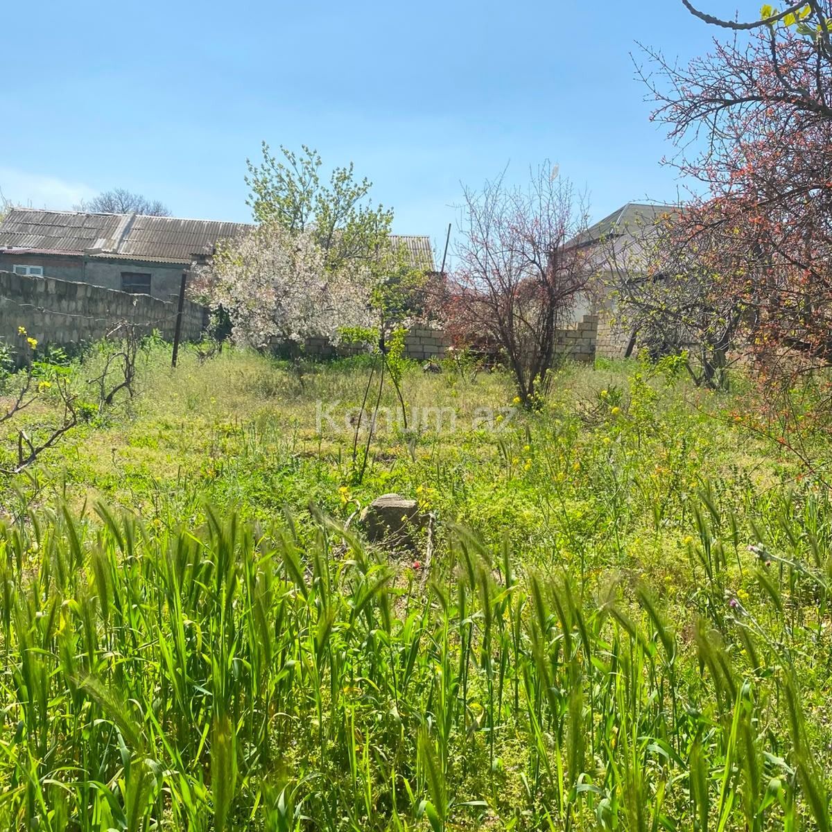 5 sot - Bakı, Abşeron - satılır — foto 4