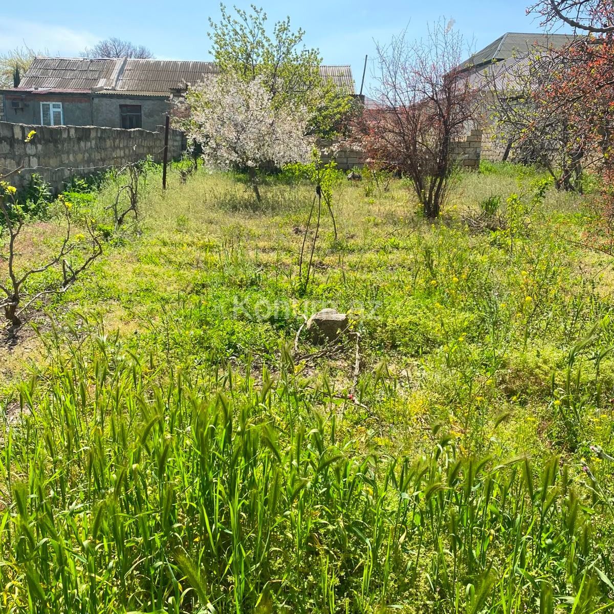 5 sot - Bakı, Abşeron - satılır — foto 5