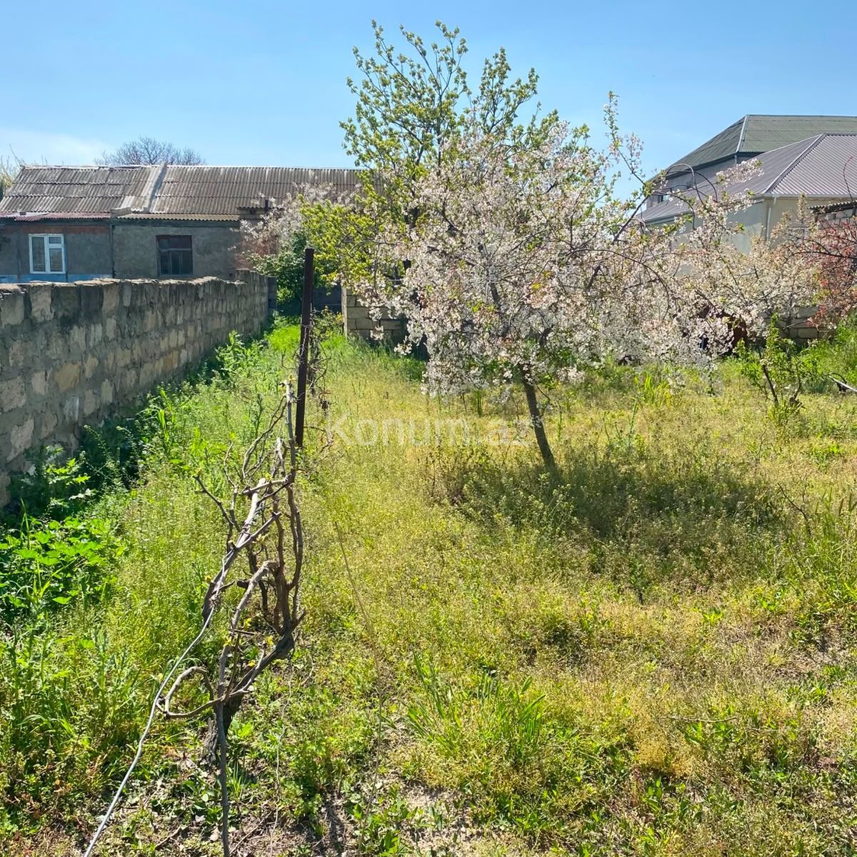 5 sot - Bakı, Abşeron - satılır — foto 6
