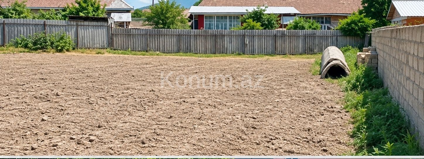 3 sot - Şəki - satılır — foto 2