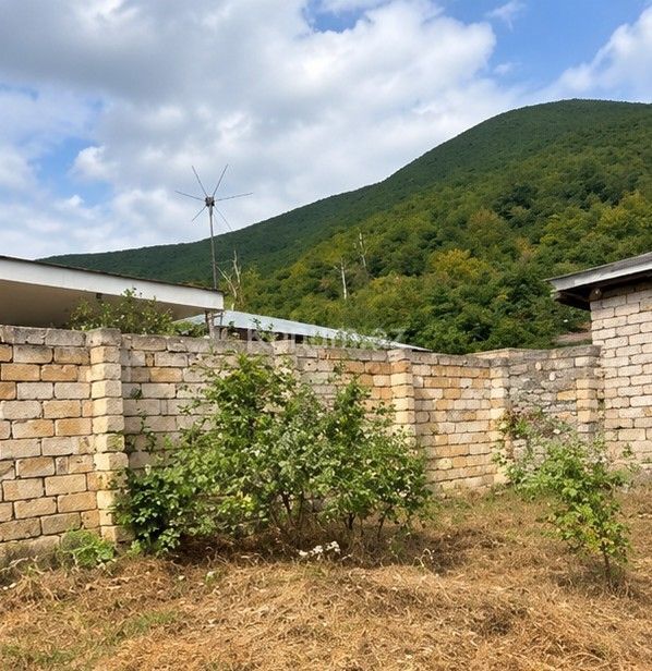4 sot - Şəki - satılır — foto 2