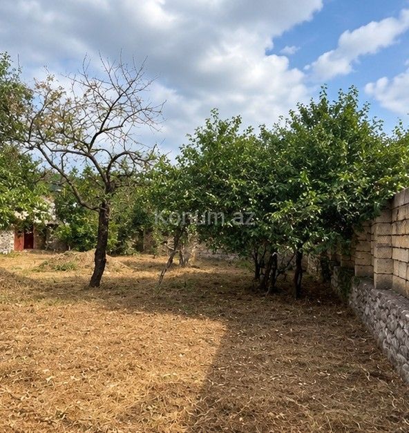 4 sot - Şəki - satılır — foto 4