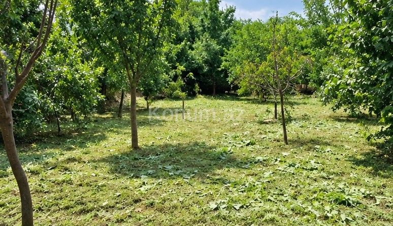 3,7 sot - Quba - satılır — foto 3