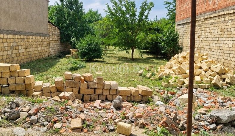 3,7 sot - Quba - satılır — foto 4