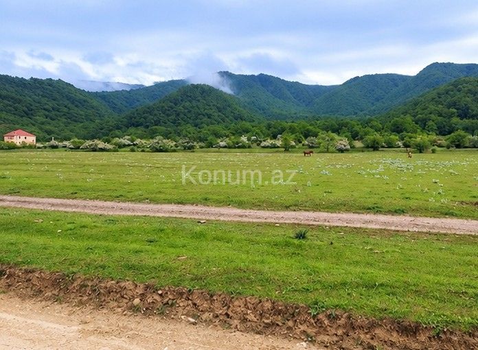 50 sot - Qusar - satılır — foto 3