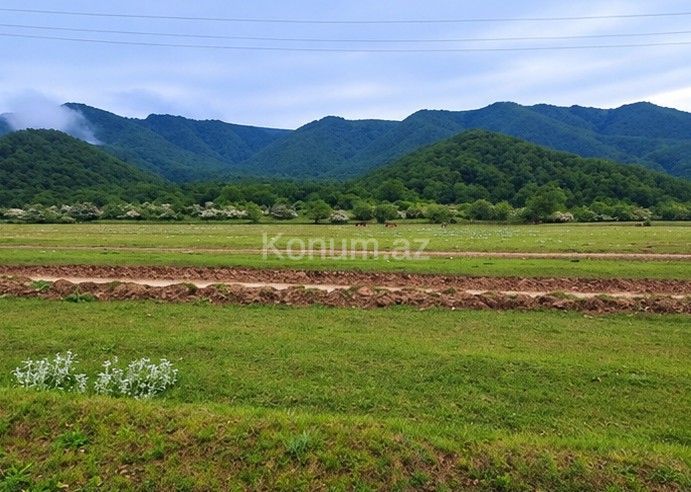 50 sot - Qusar - satılır — foto 4