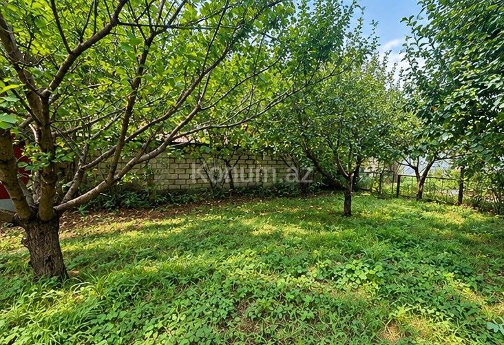 2,5 sot - Qusar - satılır — foto 3