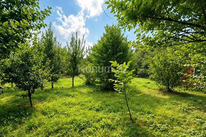 2,5 sot - Qusar - satılır — foto 2