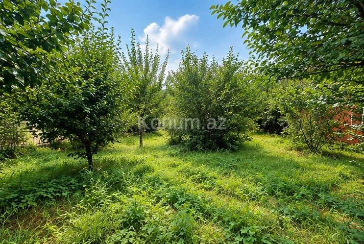 2,5 sot - Qusar - satılır — foto 4