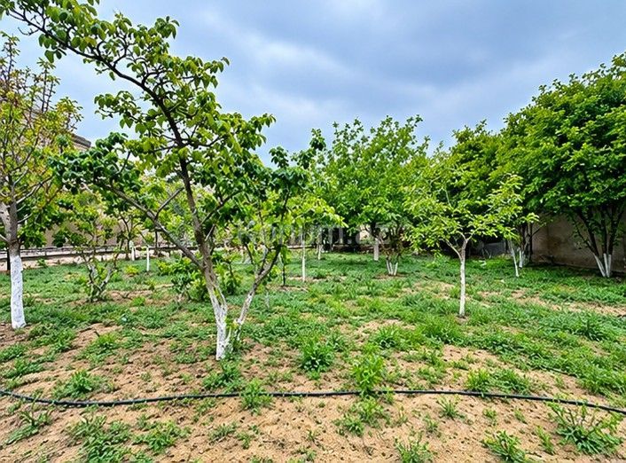 7 sot - Bakı, Xəzər - satılır — foto 3