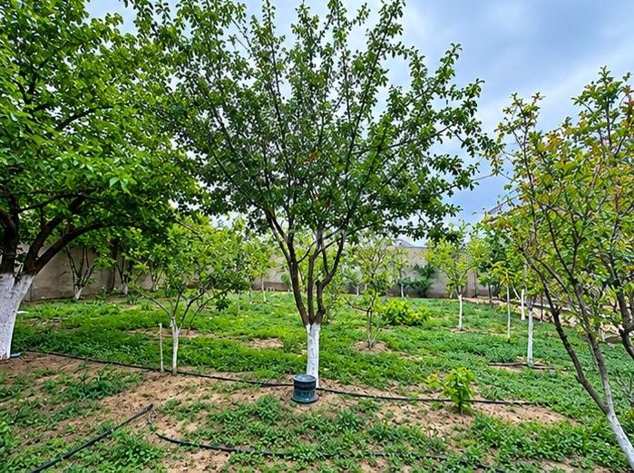 7 sot - Bakı, Xəzər - satılır — foto 4