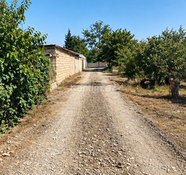 3 sot - Quba - satılır — foto 3