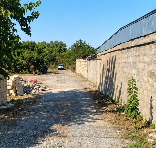 3 sot - Quba - satılır — foto 4
