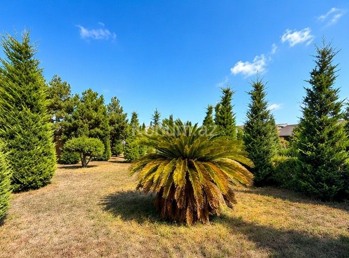 23,2 sot - Bakı, Xəzər - satılır — foto 2
