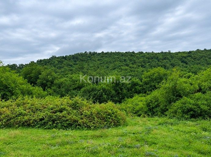 160 sot - Quba - satılır — foto 2