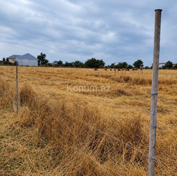 15 sot - Göygöl - satılır — foto 2