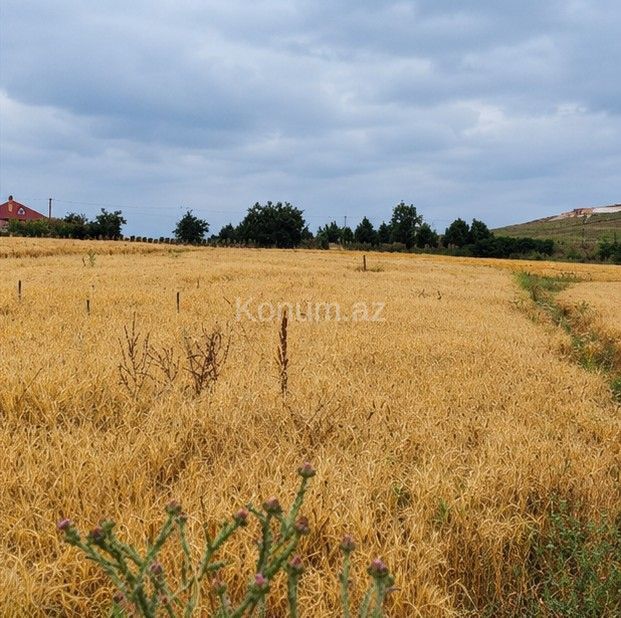 15 sot - Göygöl - satılır — foto 4