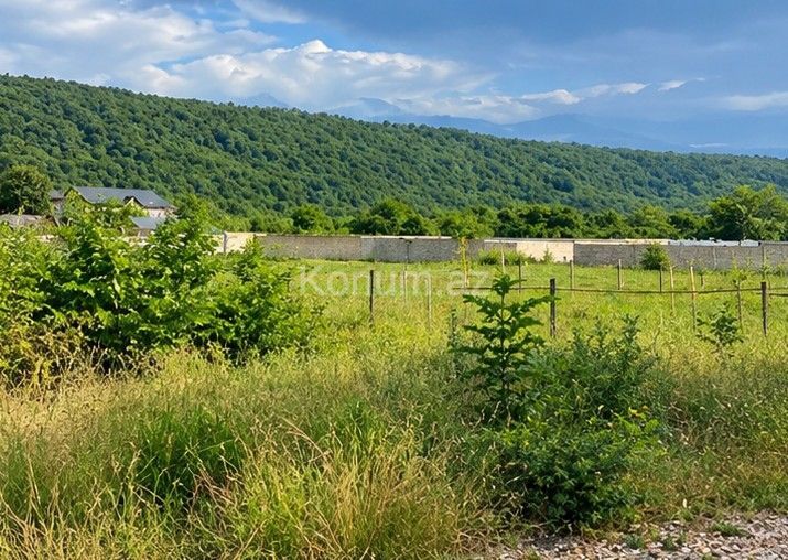 5 sot - Qusar - satılır — foto 4