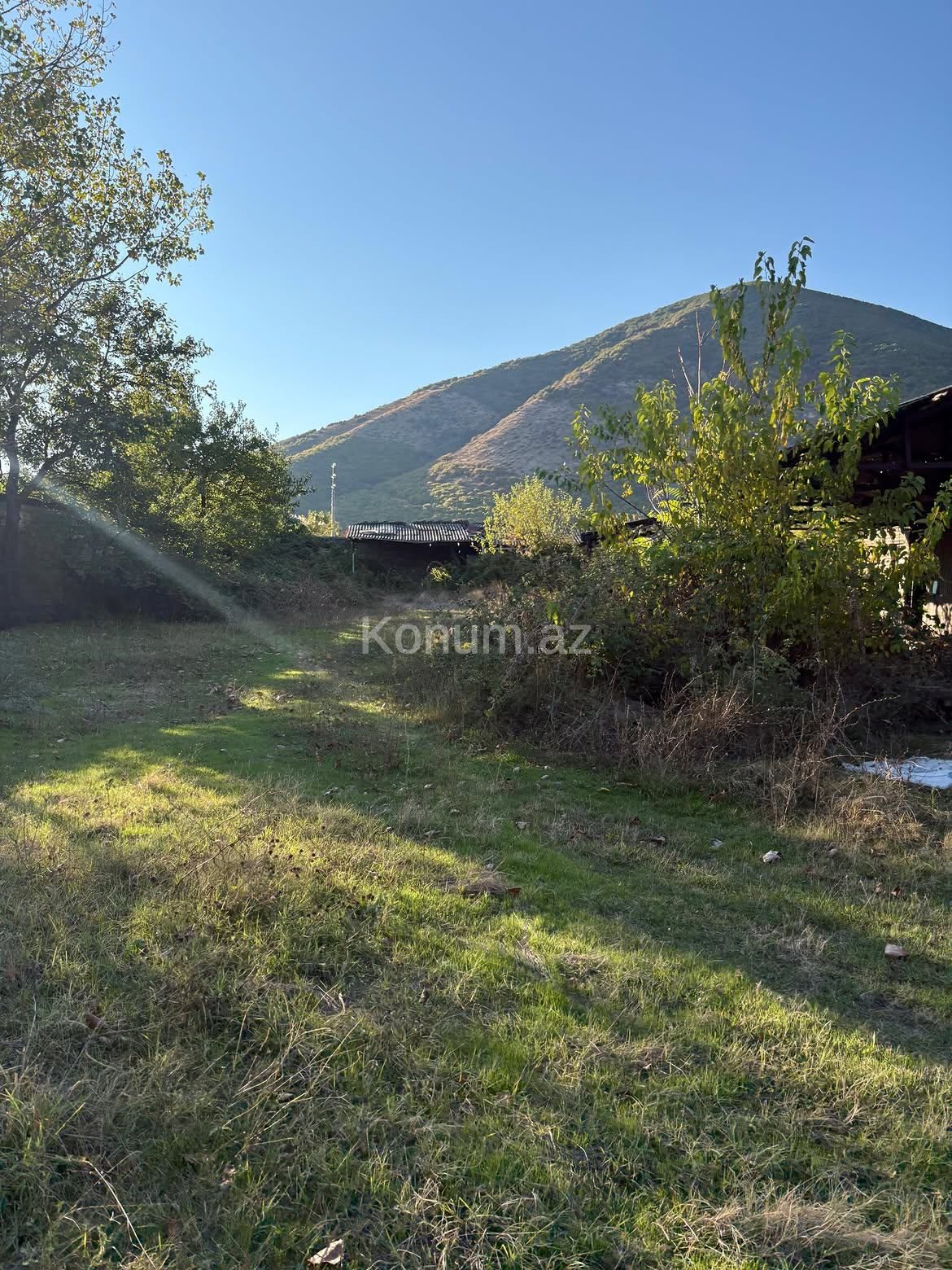20 sot - Şəki - satılır — foto 2