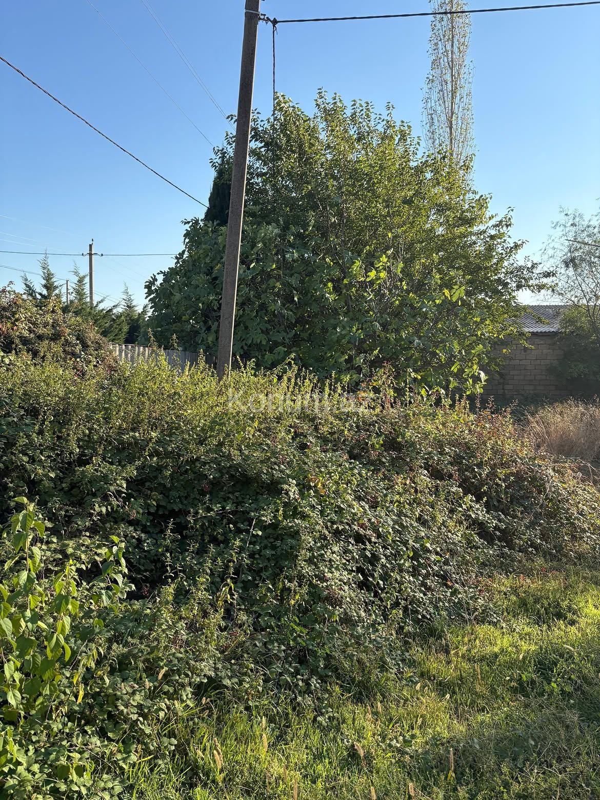 20 sot - Şəki - satılır — foto 3