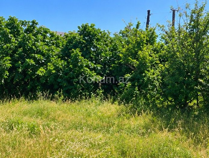 6 sot - Bakı, Suraxanı - satılır — foto 3